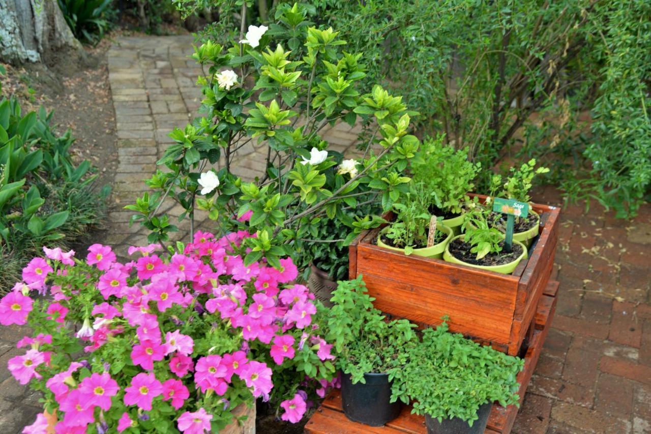 Rivonia Premier Lodge Johannesburg Dış mekan fotoğraf